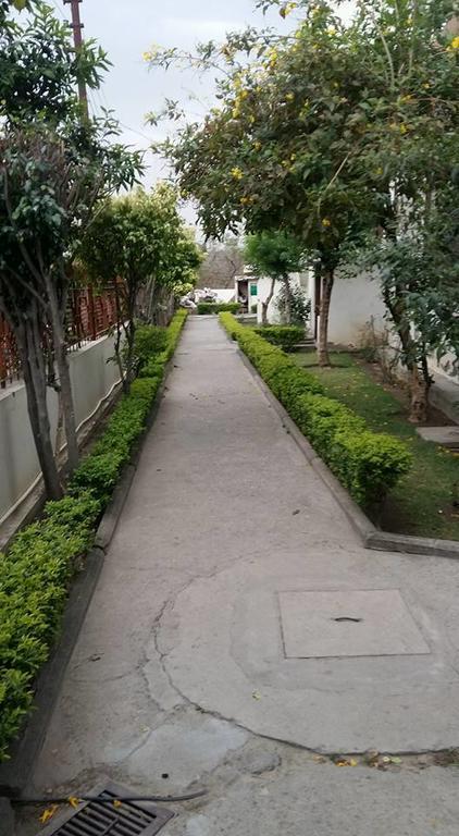 High View Cottage - Rishīkesh Exterior foto